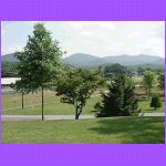 Townsend Bike Trail.jpg